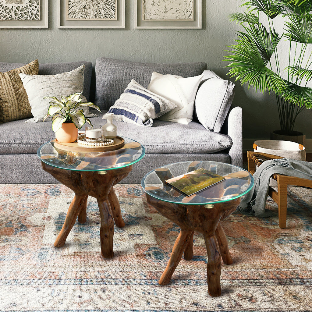 Teak Wood Root Side Table with 24