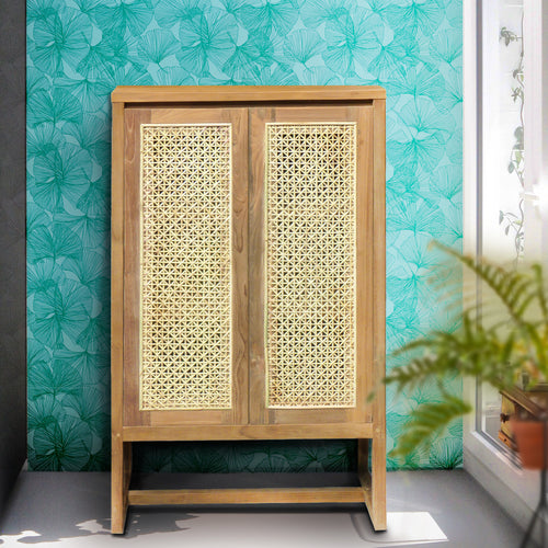Recycled Teak Wood West Indies Rattan Cupboard / Bookcase