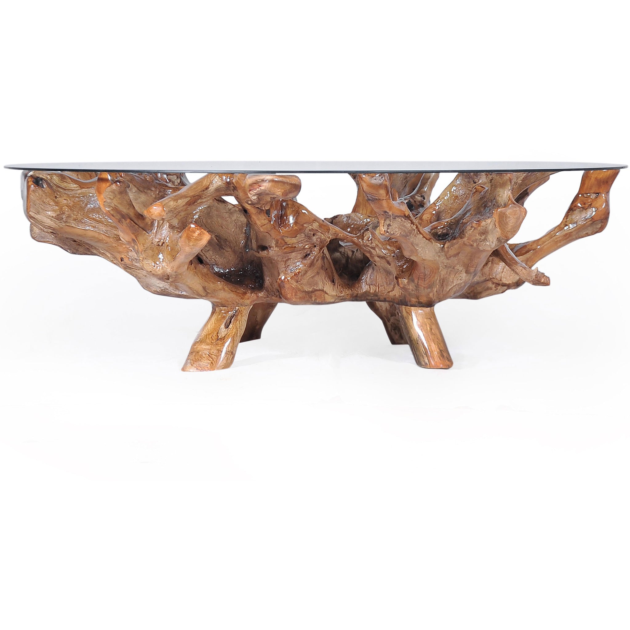 Teak Wood Root Coffee Table Including 55 Inch Round Glass Top by Chic ...