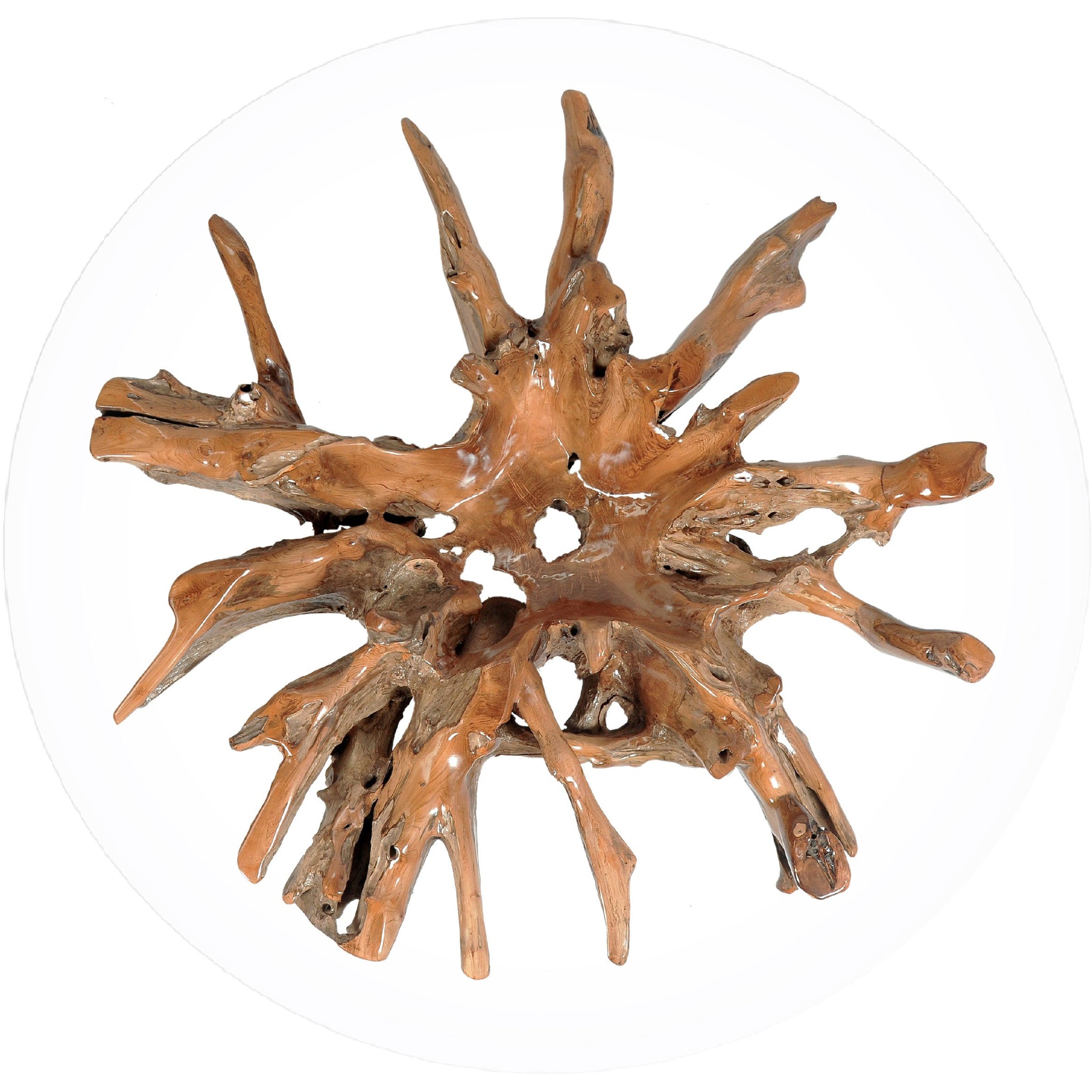 Teak Wood Root Coffee Table Including 55 Inch Round Glass Top by Chic ...