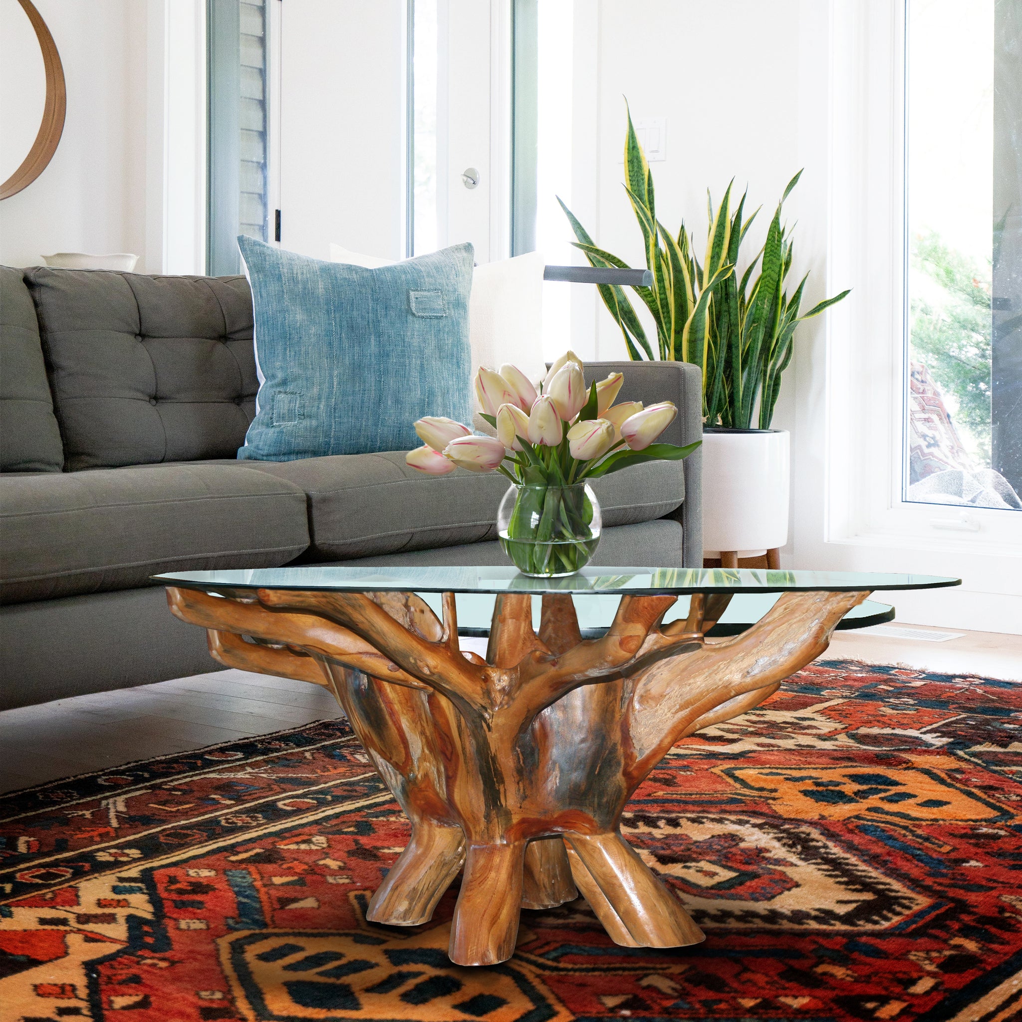 Teak Wood Root Coffee Table Including 43 Inch Round Glass Top by Chic ...