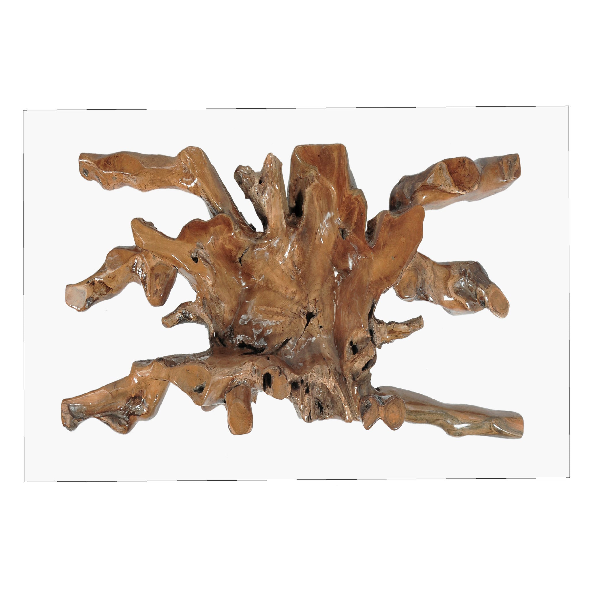 Teak Wood Root Dining Table with 55 inch Square Glass Top by Chic Teak ...