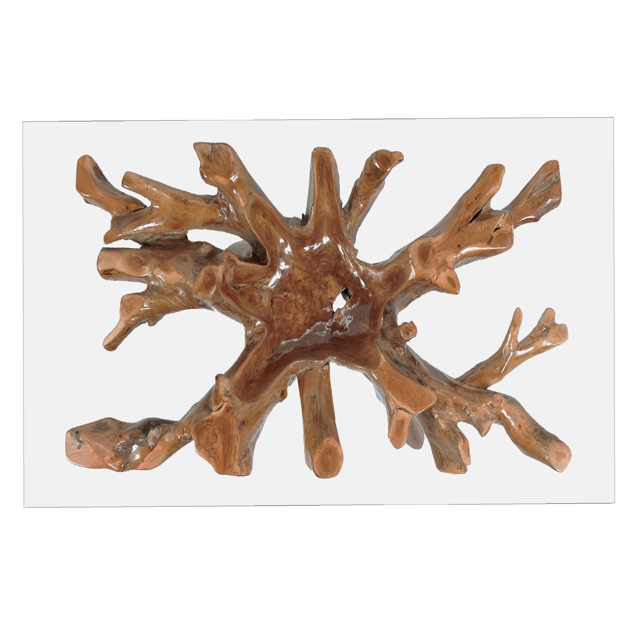 Teak Wood Root Dining Table with 55 inch Square Glass Top by Chic Teak ...